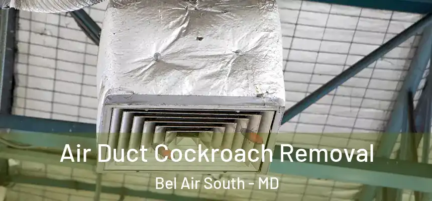 Air Duct Cockroach Removal Bel Air South - MD