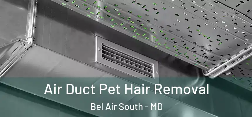 Air Duct Pet Hair Removal Bel Air South - MD
