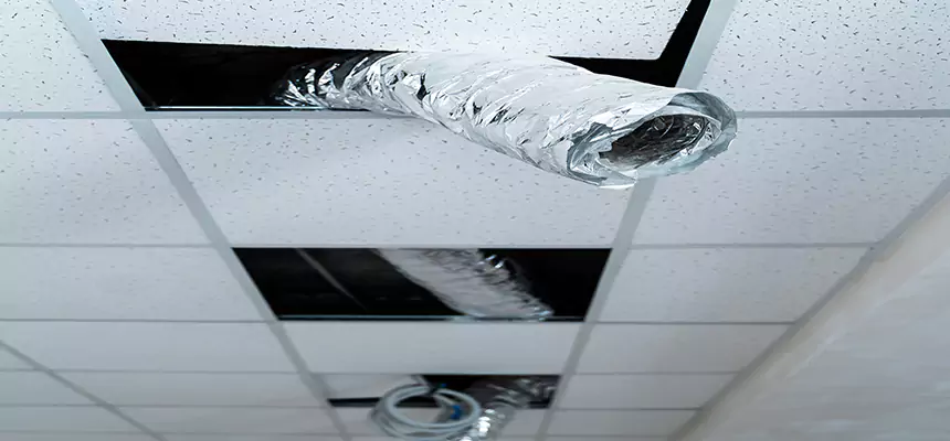 Our Air Duct Pet Hair Removal Services in Bel Air South, MD