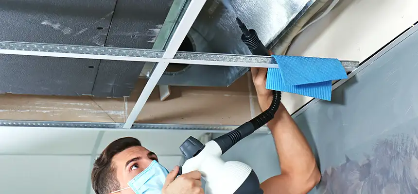 Our Air Duct Rodent Removal Services in Bel Air South, MD