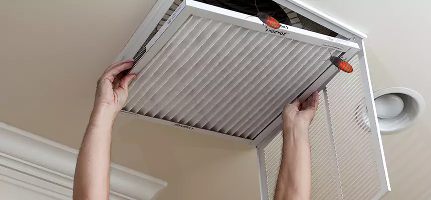 Our Insect Removal from Air Ducts Services in Bel Air South, MD
