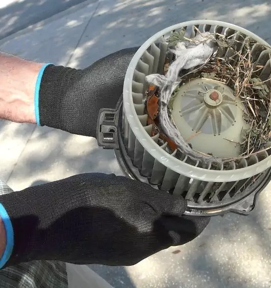 About Air Duct Mice Removal in Bel Air South, MD