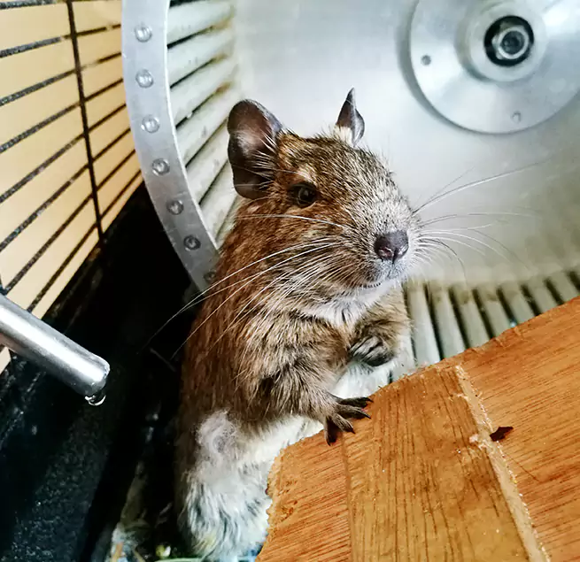 Why Homeowners & Businesses Trust Us Bel Air South, MD